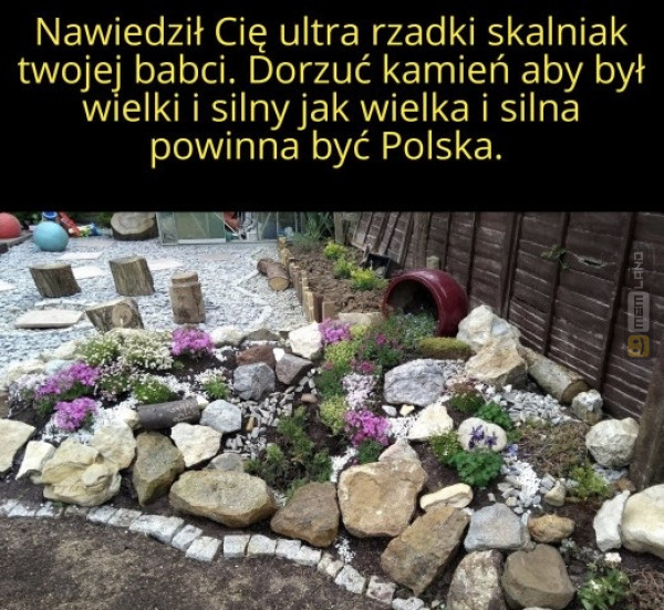 Śmieszny mem: 4924062 - MemLand