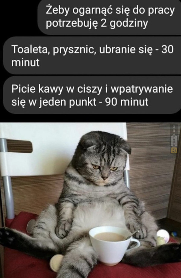 Śmieszny mem: 4925751 - MemLand