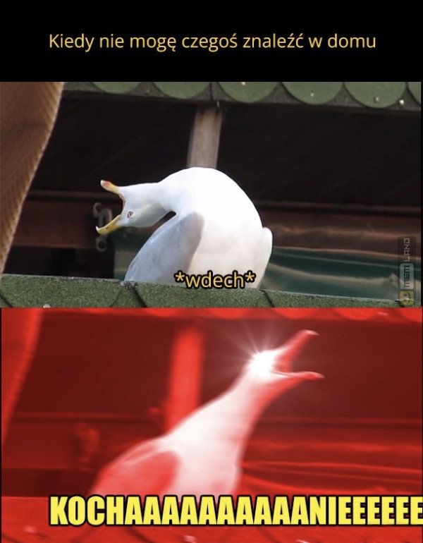 Śmieszny mem: 4929856 - MemLand
