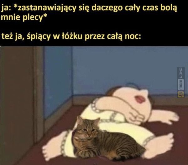 Śmieszny mem: 4946166 - MemLand