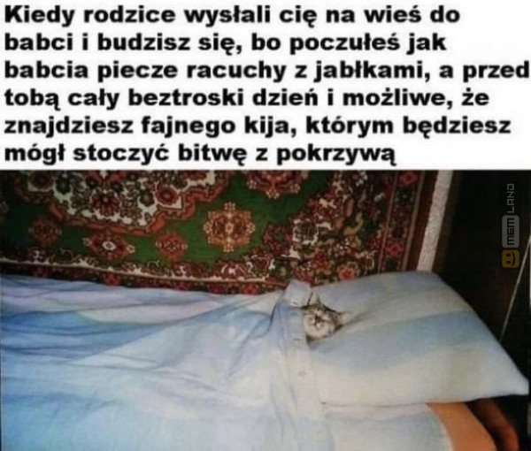 Śmieszny mem: 4946701 - MemLand