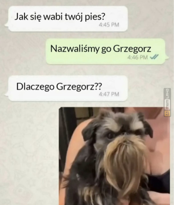 Śmieszny mem: 4946712 - MemLand