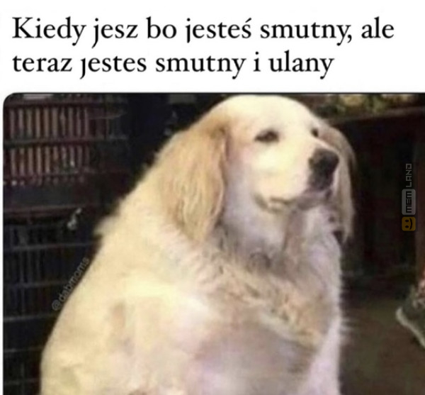 Śmieszny mem: 4947140 - MemLand