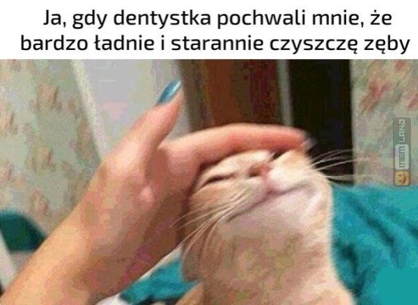 Śmieszny mem: 4950911 - MemLand