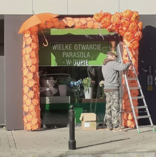 Śmieszny mem: 4955615 - MemLand