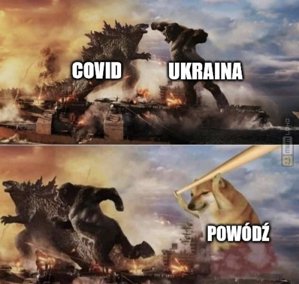 Śmieszny mem: 4956225 - MemLand