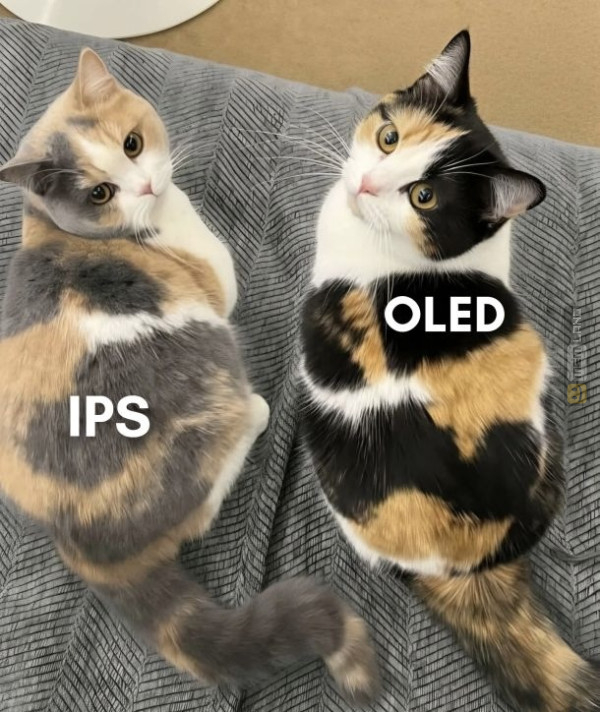 Śmieszny mem: 4961596 - MemLand