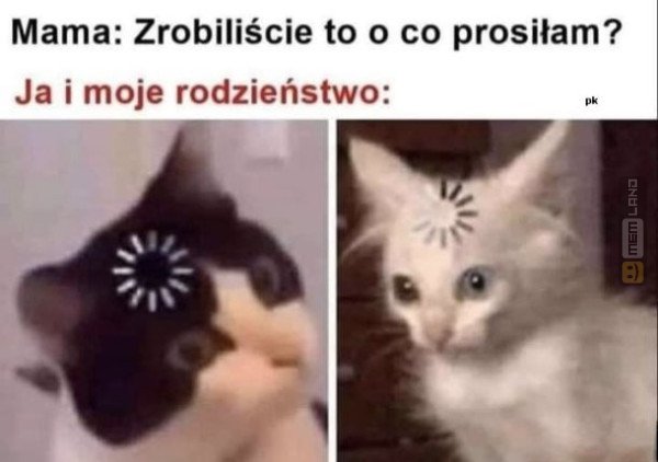 Śmieszny mem: 4963246 - MemLand