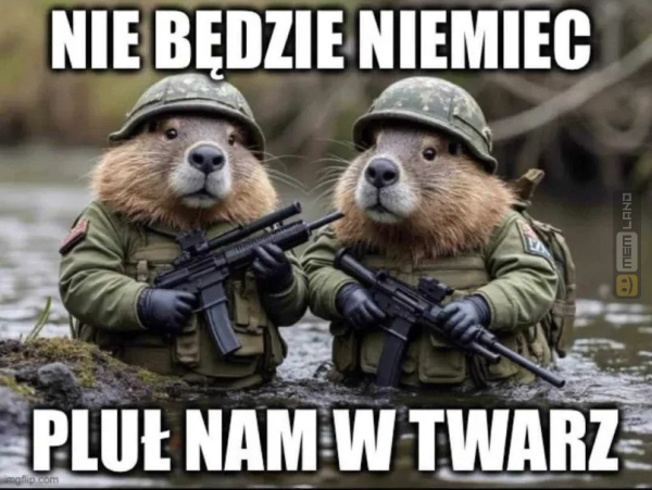 Śmieszny mem: 4965734 - MemLand