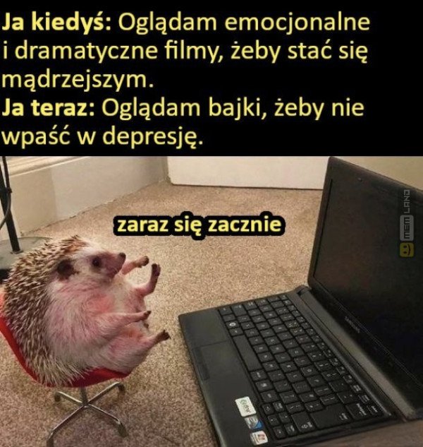 Śmieszny mem: 4966854 - MemLand