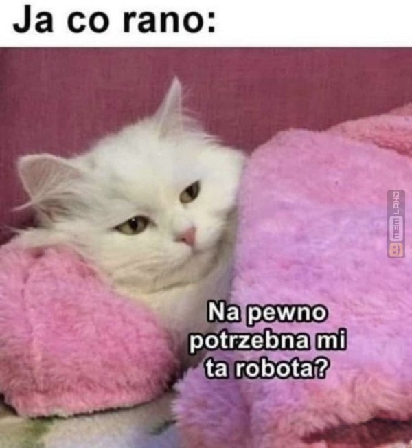 Śmieszny mem: 4977285 - MemLand