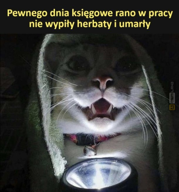 Śmieszny mem: 4982286 - MemLand