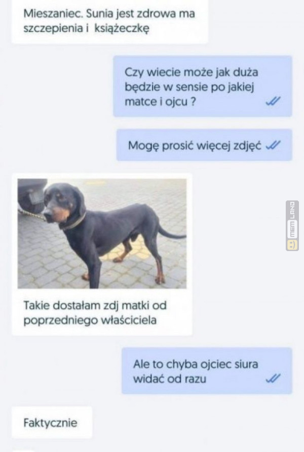 Śmieszny mem: 4983008 - MemLand