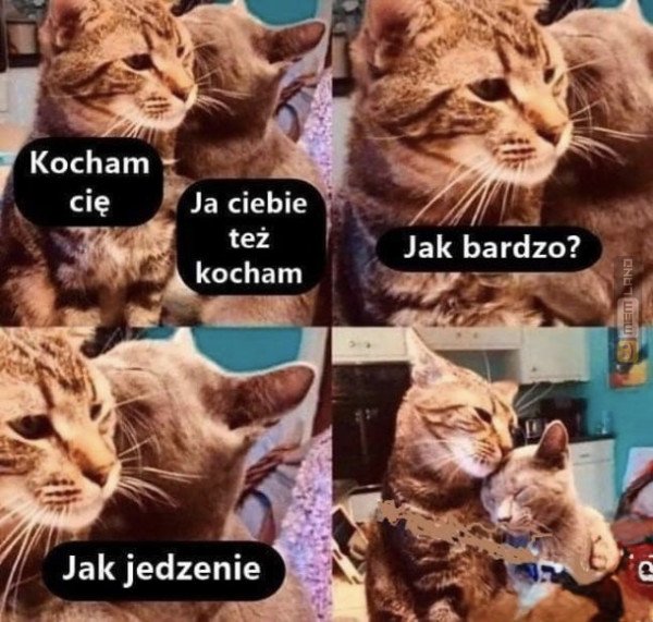 Śmieszny mem: 4984894 - MemLand