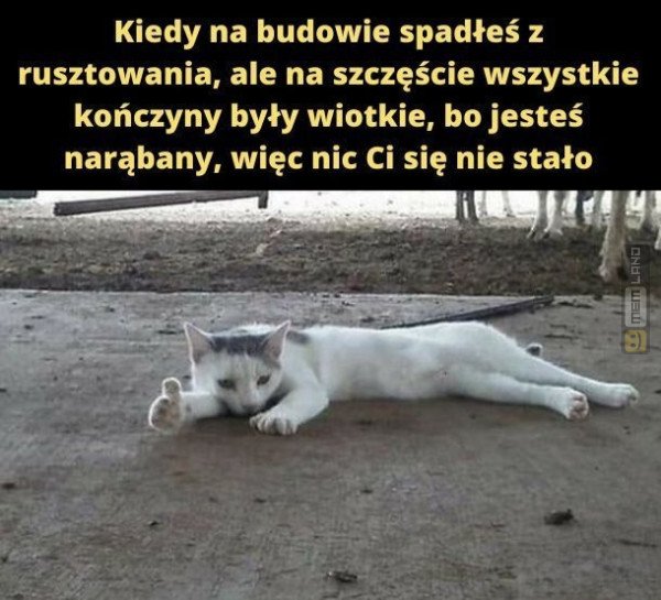 Śmieszny mem: 4992260 - MemLand