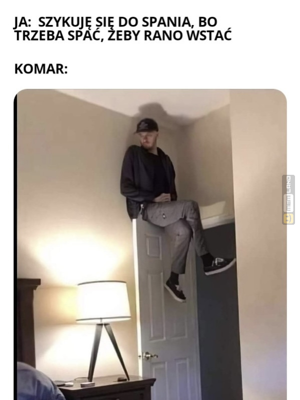 Śmieszny mem: 4997408 - MemLand