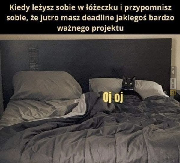 Śmieszny mem: 4998917 - MemLand