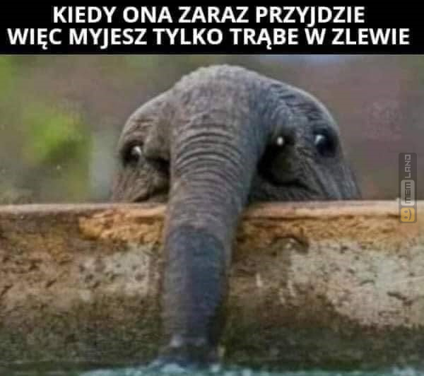 Śmieszny mem: 4999232 - MemLand