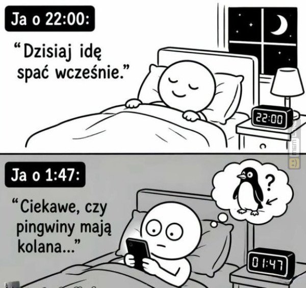 Śmieszny mem: 5007025 - MemLand