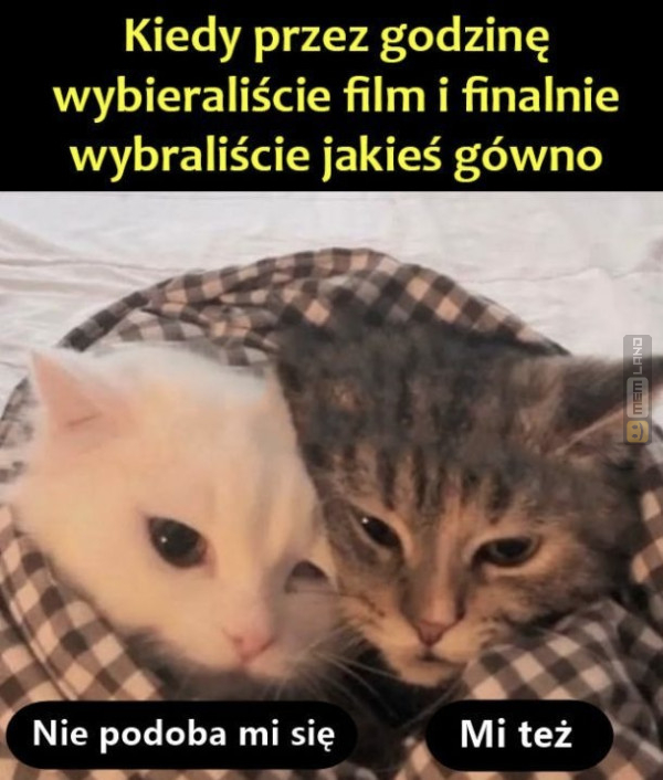 Śmieszny mem: 5009869 - MemLand