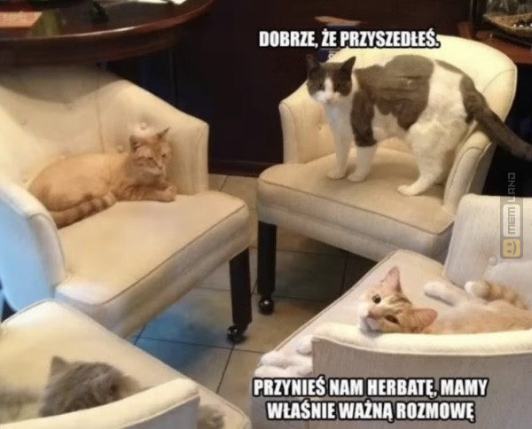 Śmieszny mem: 5010446 - MemLand