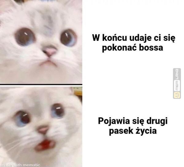 Śmieszny mem: 5011267 - MemLand