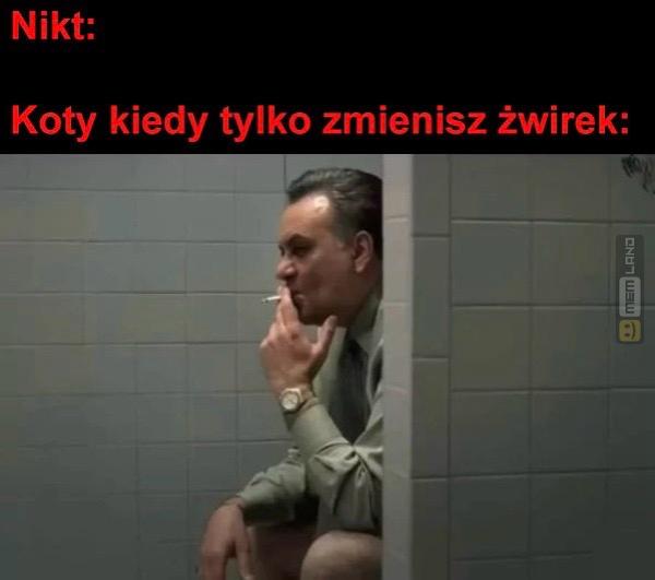 Śmieszny mem: 5013179 - MemLand