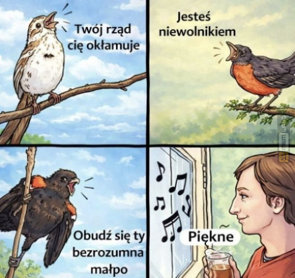 Śmieszny mem: 5013467 - MemLand