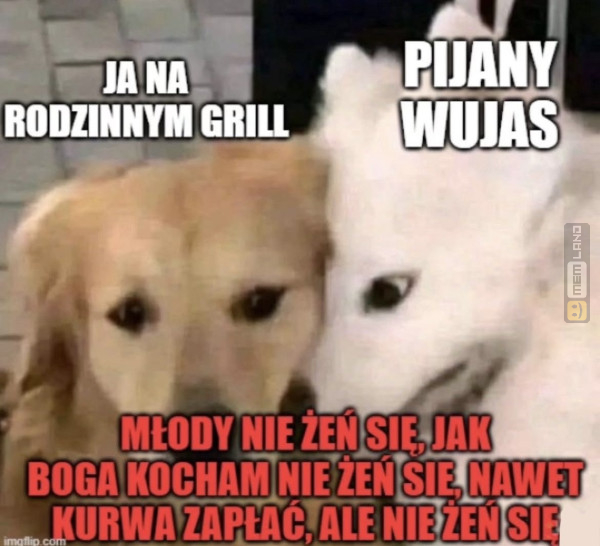 Śmieszny mem: 5032651 - MemLand