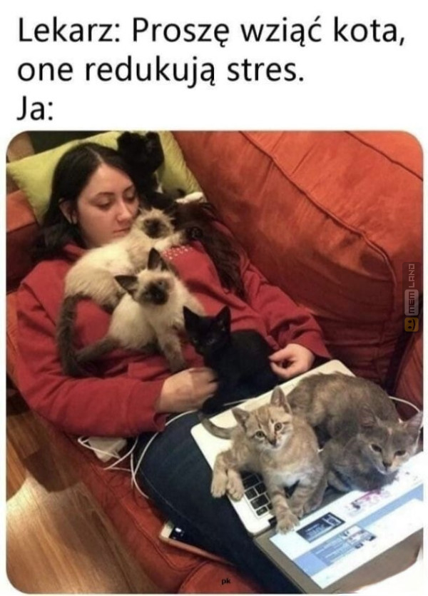 Śmieszny mem: 5037052 - MemLand