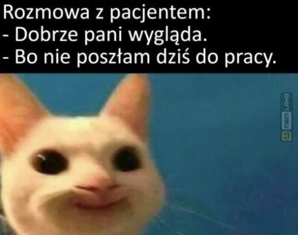 Śmieszny mem: 5038554 - MemLand