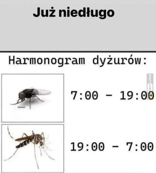 Śmieszny mem: 5040911 - MemLand