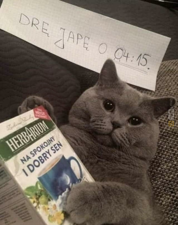 Śmieszny mem: 5042730 - MemLand