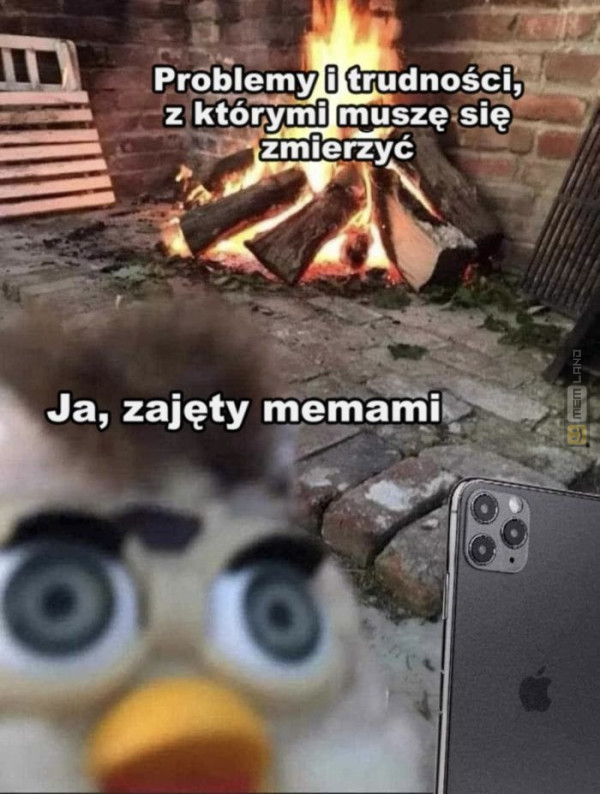 Śmieszny mem: 5044069 - MemLand
