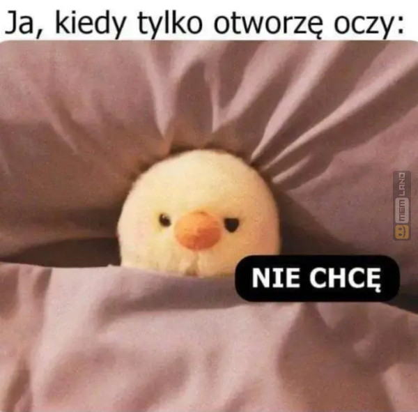 Śmieszny mem: 5044650 - MemLand