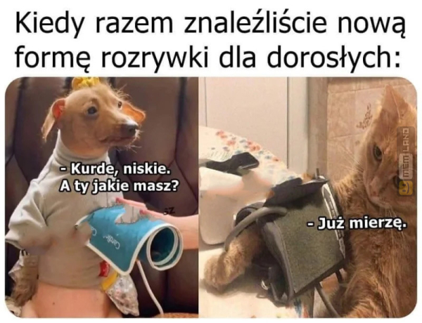 Śmieszny mem: 5046536 - MemLand