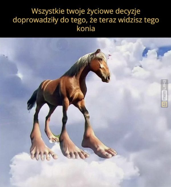 Śmieszny mem: 5054652 - MemLand