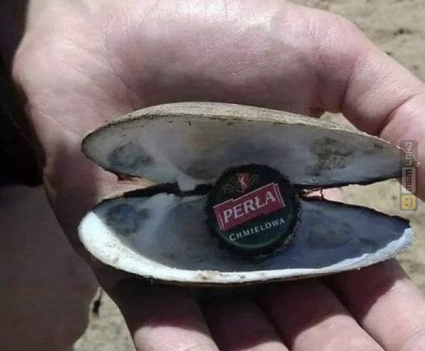 Śmieszny mem: 5064553 - MemLand