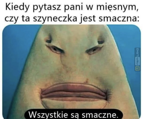 Śmieszny mem: 5066858 - MemLand