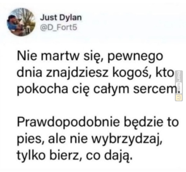 Śmieszny mem: 5072744 - MemLand