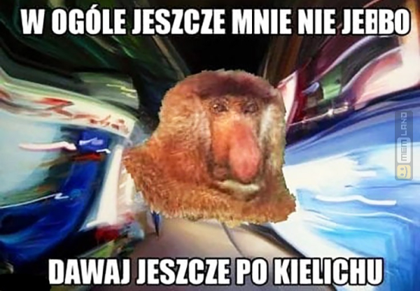 Śmieszny mem: 5075027 - MemLand