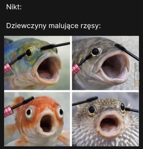 Śmieszny mem: 5075774 - MemLand