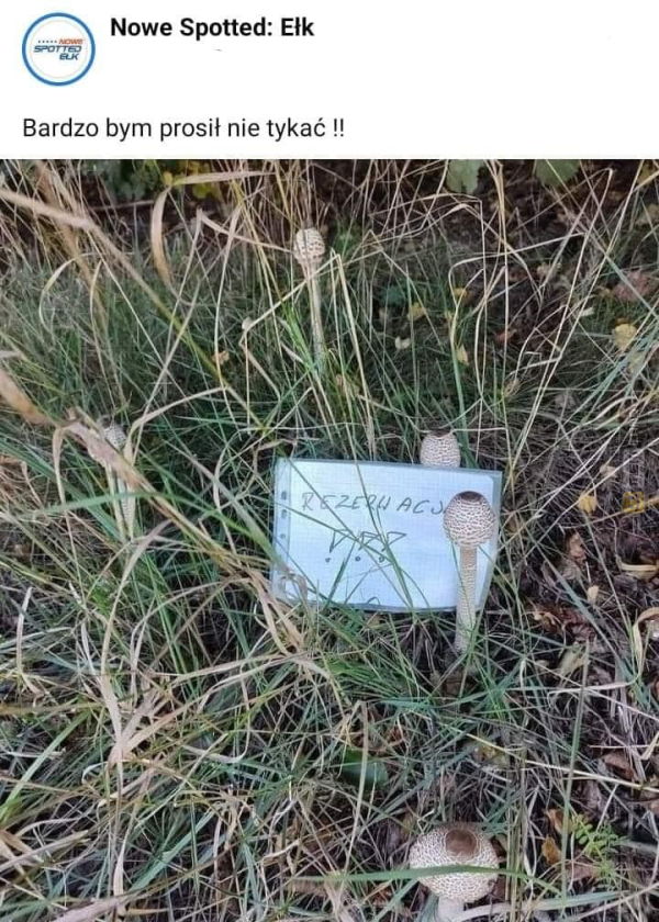 Śmieszny mem: 5076009 - MemLand