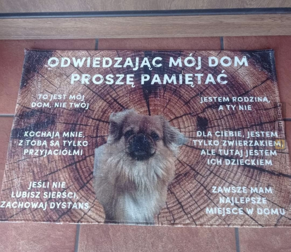 Śmieszny mem: 5076306 - MemLand