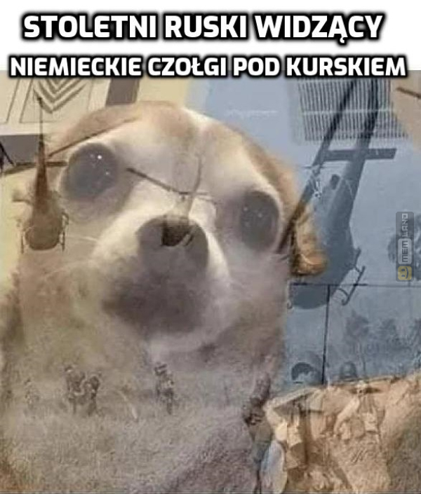 Śmieszny mem: 5079558 - MemLand