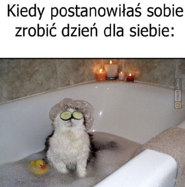 Śmieszny mem: 5089457 - MemLand