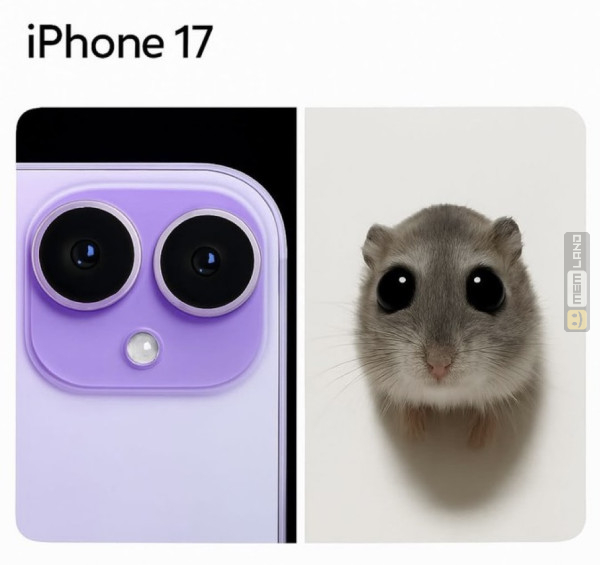 Śmieszny mem: 5092099 - MemLand