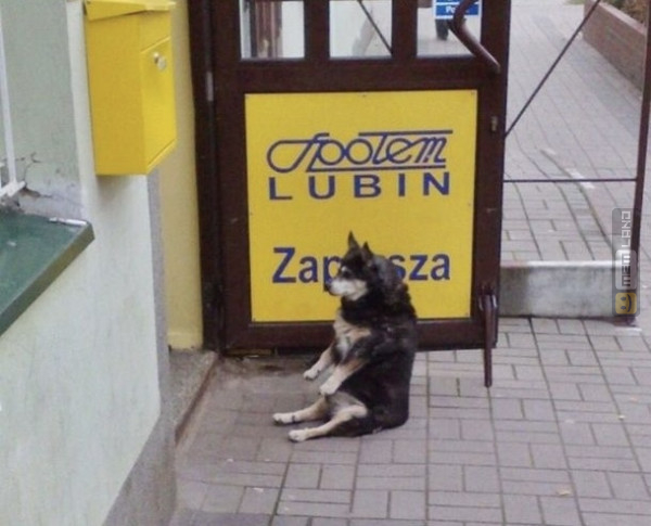 Śmieszny mem: 5092965 - MemLand