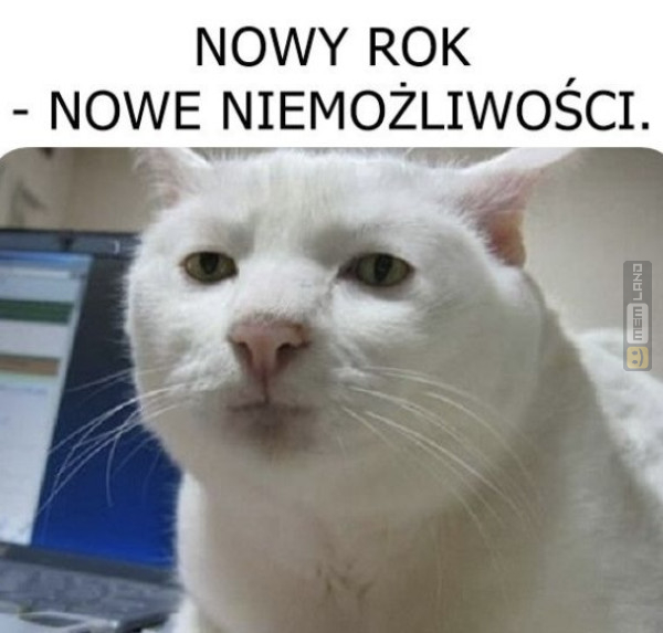 Śmieszny mem: 5095695 - MemLand