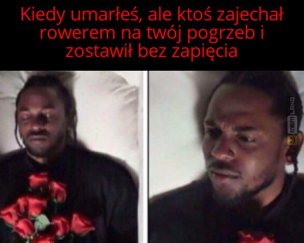 Śmieszny mem: 5099517 - MemLand